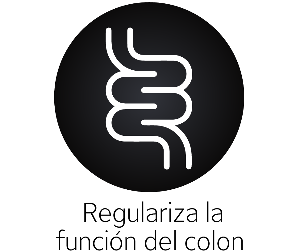 version dia lunes agosto-23