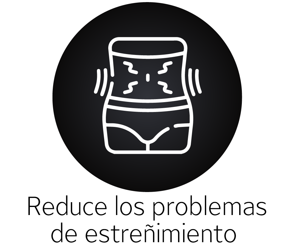 version dia lunes agosto-24